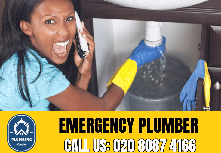 emergency plumber Hackney